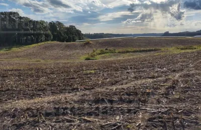 15,30 ha na linha palmeiro, farroupilha - frente para rod vicinal mato perso a 2 km da ers 122