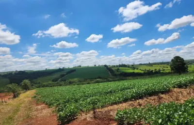 Chácara / sítio à venda na Área Rural, Área Rural de Artur Nogueira, Artur Nogueira