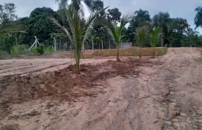 Chácara / sítio à venda na Área Rural, Bairrinho, Artur Nogueira