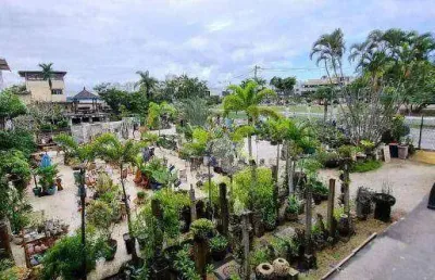 Terreno à venda, 3000 m² por r$ 25.000.000,00 - recreio dos bandeirantes - rio de janeiro/rj