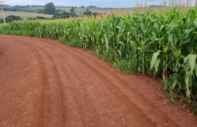 Chácara / sítio à venda na São Vicente, São Vicente, Araruna