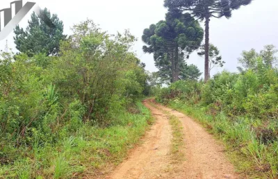 Chácara / sítio à venda na Rua Leonardo Muchau, Espigão das Antas, Mandirituba
