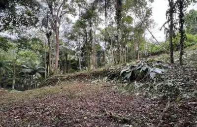 Terreno à venda no Wunderwald, Pomerode 