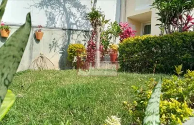 Casa com 4 quartos à venda na Rua Maria Lopes, 413, Vila Rosa, São Paulo