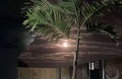 Casa com 4 quartos à venda na Rodovia Doutor Antônio Luiz Moura Gonzaga, --, Rio Tavares, Florianópolis