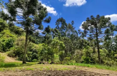 Terreno à venda na Rio Do Coxo - Mato Frances, --, Centro, Rancho Queimado
