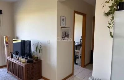 Apartamento com 2 quartos à venda na Rua Acelon Pacheco da Costa, --, Itacorubi, Florianópolis
