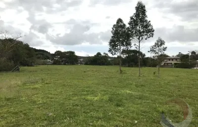Fazenda à venda na Servidão Nelson Leopoldo dos Santos, --, Vargem Grande, Florianópolis