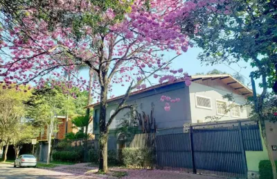 Casa comercial com 11 salas para alugar na rua natingui, --, alto de pinheiros, são paulo, 500 m2 por r$ 39.000