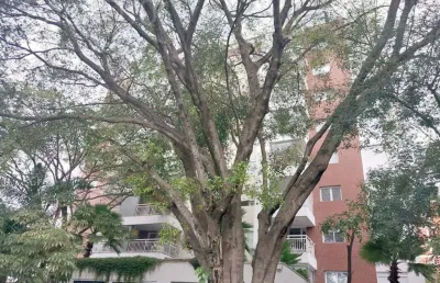 Apartamento com 1 quarto para alugar na rua fidalga, --, vila madalena, são paulo, 74 m2 por r$ 5.500