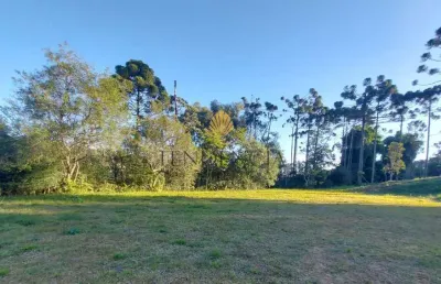 Terreno à venda, 1.060 m2 por r  559.000,00 - rondinha - campo largo pr