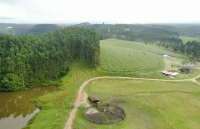 Fazenda à venda, 6.848.600.00 m2, colônia murici, sao jose dos pinhais - pr