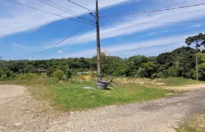 Terreno à venda, 10246 m  por r  2.499.000,00 - centro - tijucas do sul pr