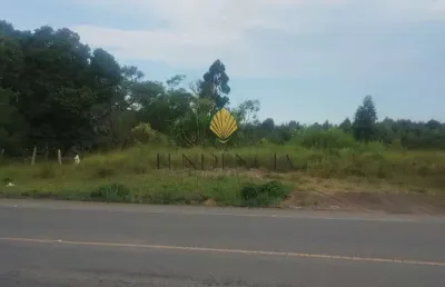 Terreno à venda, 29.040 m2, sao jose dos pinhais - pr