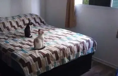 Venda de apartamento 1 dormitório em jardim joão xxiii - sp