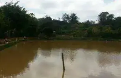 Chácara rural à venda, jardim bela vista, guarulhos - ch0006.