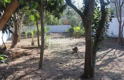 Terreno no bairro tapera da base - oportunidade de investimento