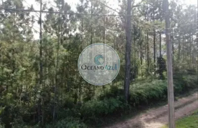 Lote / terreno em jardim capricornio  -  caraguatatuba