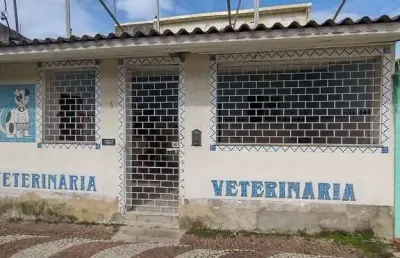 Ponto comercial com 6 salas para alugar na doze de fevereiro, 61, bangu, rio de janeiro por r$ 4.000
