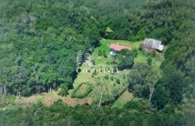 Chácara / sítio à venda na linha são gotardo, 1000, são gotardo, caxias do sul por r$ 480.000