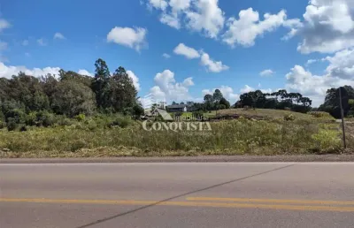 Terreno à venda na vicinal mato perso, forqueta, caxias do sul por r$ 2.500.000