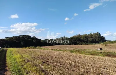 Terreno à venda na 1° distrito de farroupilha, linha palmeiro, farroupilha por r$ 7.500.000