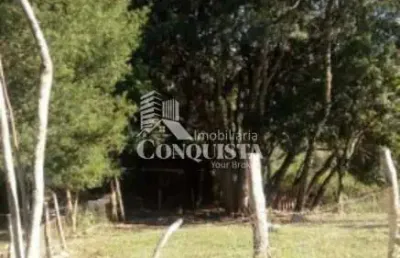 Chácara / sítio à venda na municipal agua azul, 5875, santa lúcia do piaí, caxias do sul por r$ 280.000