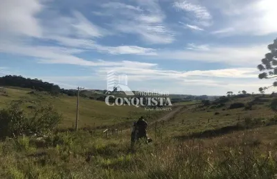 Chácara / sítio à venda na felisberto castilhos dos reis, 101, criúva, caxias do sul por r$ 160.000