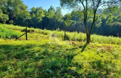 Chácara / sítio à venda na travessa santa rita, 02, são pedro da terceira légua, caxias do sul por r$ 540.000