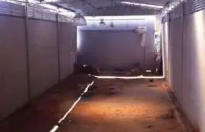 Barracão / Galpão / Depósito à venda na Rua João Alfredo, --, Horto, Belo Horizonte