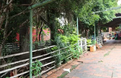 Lote - terreno à venda, santa amélia - belo horizonte/mg