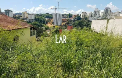 Lote - terreno à venda, palmeiras - belo horizonte/mg