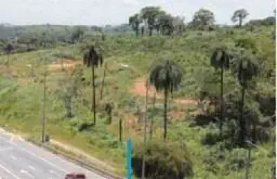 Lote - terreno à venda, andiroba - ribeirão das neves/mg