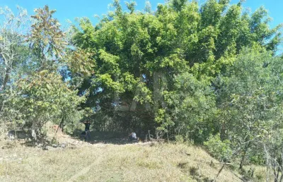 Fazenda - sítio à venda, padre brito - barbacena/mg