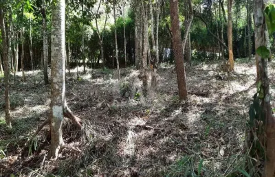 Lote em condomínio à venda, estância serrana - nova lima/mg