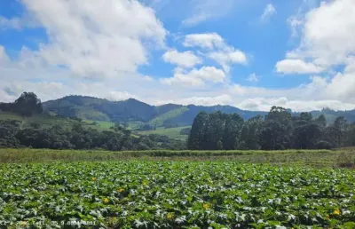 Sítio para venda em caldas, bom retiro, 3 dormitórios, 1 suíte, 1 banheiro, 2 vagas