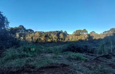 Terreno à venda na linha furna, 1, linha furna, gramado por r$ 3.000.000