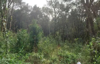 Terreno à venda na estremosa, 4, carniel, gramado, 450 m2 por r$ 620.000