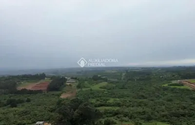 Terreno comercial à venda na rodovia assis brasil, 1959, cocão, viamão, 46701 m2 por r$ 900.000
