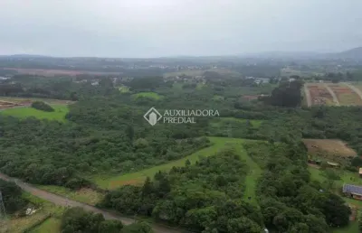 Terreno comercial à venda na rodovia assis brasil, 1959, cocão, viamão, 133620 m2 por r$ 2.500.000