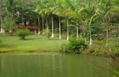 Chácara à venda na estância paraíso – cesário lange/sp – r$ 1.200.000,00