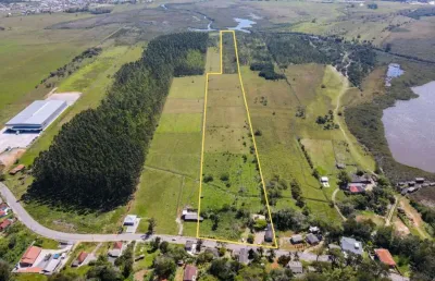 Terreno em condomínio fechado à venda na heleodoro serafim schimdt, 4, riberão, paulo lopes por r$ 2.500.000