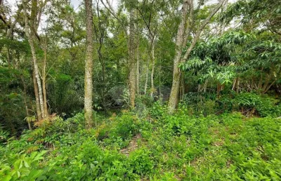 Terreno em condomínio fechado à venda na grp-010, siriú, garopaba por r$ 625.400