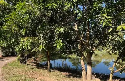 Chácara à venda em elias fausto – porteira fechada!