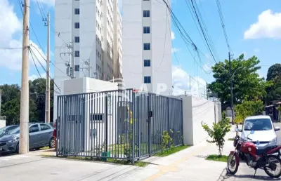 Boa oportunidade em nova brasília. apartamento sol da manhã 42 m², 2 quartos, sala, cozinha, área de