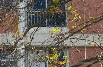 Apartamento à venda na vila yara, osasco-sp: 2 quartos, 2 salas, 2 banheiros, 2 vagas de garagem, 61m² de área. confira!