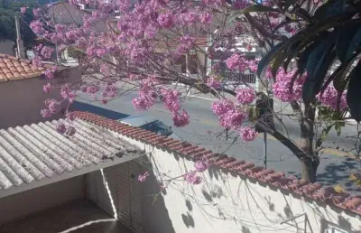 Casa com 3 quartos à venda na Rua Baltar, 1, Vila Califórnia, São Paulo