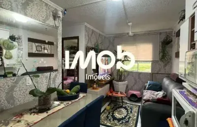 Apartamento com 2 quartos, ribeirão cavalo - jaraguá do sul