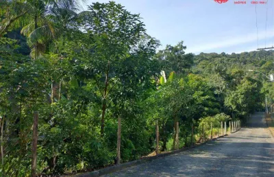 Terreno à venda na Rua Rodrigues Alves, Velha, Blumenau