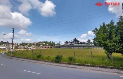 Terreno à venda, 6781 m² - itoupava norte - blumenau/sc